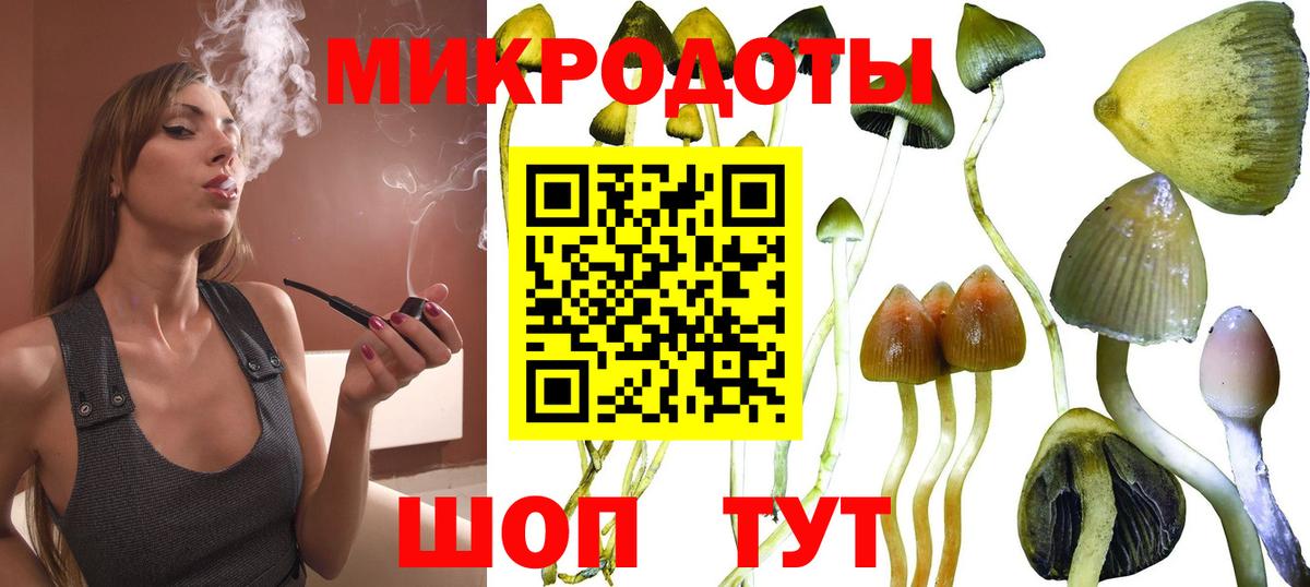 Псилоцибиновые грибы Psilocybine cubensis  Вход с VPN  Кохма 