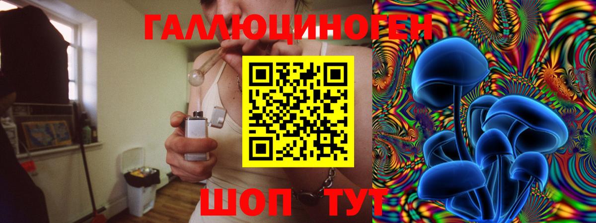 Псилоцибиновые грибы Psilocybe Кохма